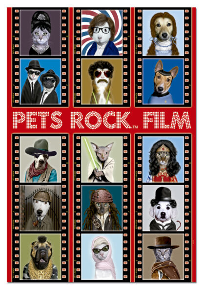 EDUCA Pusle 500 Pets Rock Film
