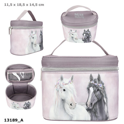 Miss Melody Ilukohver 2024 Fantasy Horse